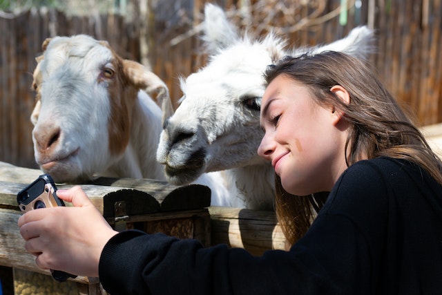 Sind Zoos Tierquälerei? Ein kontroverses Thema!